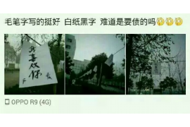 /img/1155.png/img/1155.png白条寄快递发了催收函：揭秘快递催收背后的故事/img/1155.png