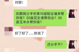 麟游要钱公司：揭秘金融服务的专业与高效