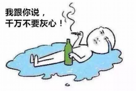 委托催收借款合同书：全方位解析与案例分析